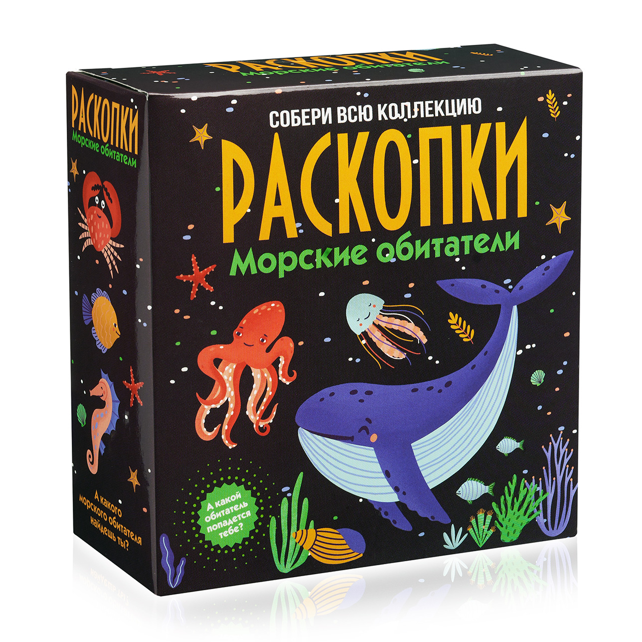 Раскопки "Морские обитатели", средний набор